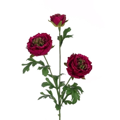 Cerise Fluffy Ranunculus 65cm