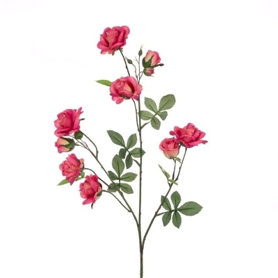 Dark Pink Climbing Rose 78cm