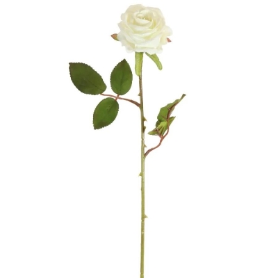 Ivory Amira Rose 53cm