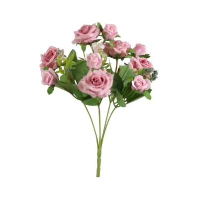 Pink Briana Mini Rose Bush 31cm