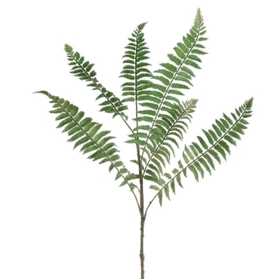 Ostrich Fern Spray 66cm