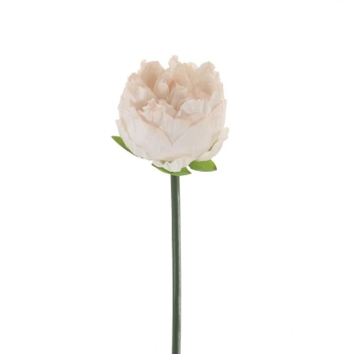 Peony Nude 36cm