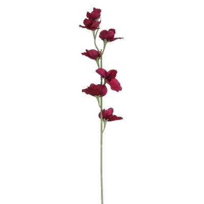 Magenta Sweetpea 63cm