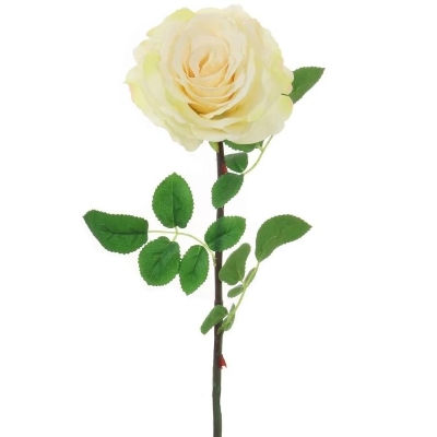 Cream Tudor Rose 74cm