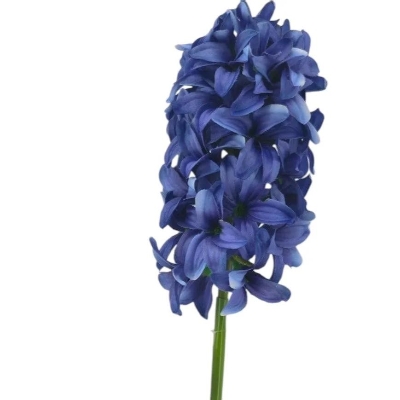 Blue Hyacinth Bundle 40cm
