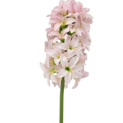 Pink Hyacinth Bundle 40cm