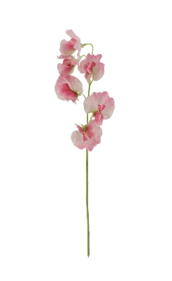Pink Sweetpea Spray 42cm