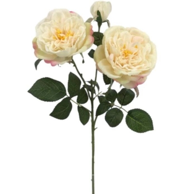 Cream Garden Rose 59cm