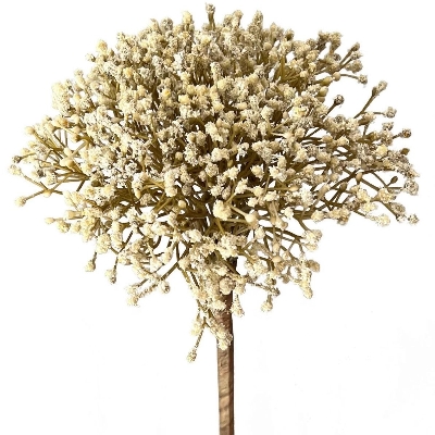 Cream Gyp Bundle 32cm