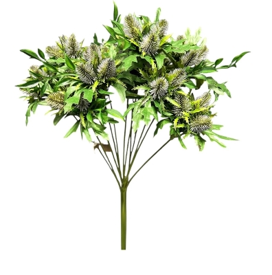 Blue Green Thistle Bush 50cm