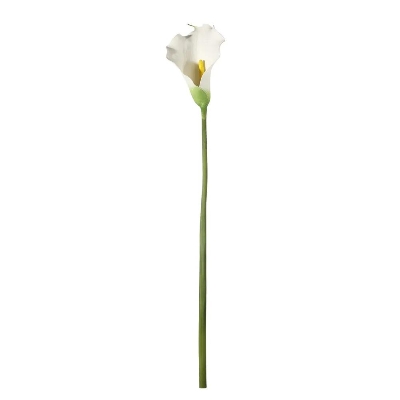 White Calla 80cm