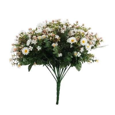 White Daisy Bush 40cm
