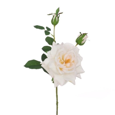 White Reflex Rose 72cm