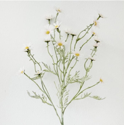 Ivory Flocked Daisy Stem 73cm