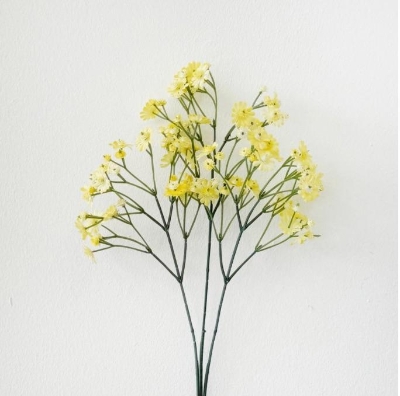 Yellow Cottage Daisy 70cm