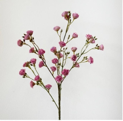 Plum Mini Chrys 83cm