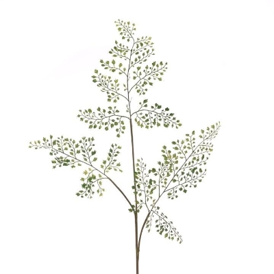 Maidenhair Fern 86cm