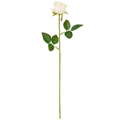 Cream Gabriella Rose 53cm