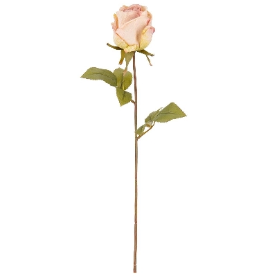 Pink Dry Rose 46cm
