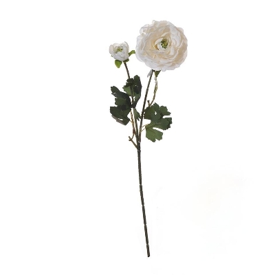 White Ranunculus 50cm