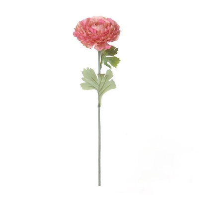 Coral Pink Ranunculus 55cm