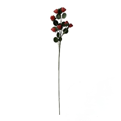Strawberry Branch 69cm