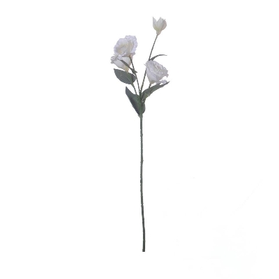 Ivory Lisianthus 70cm