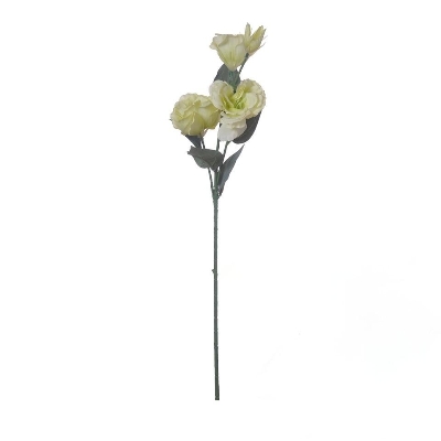Green Lisianthus 70cm