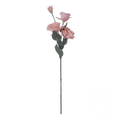 Salmon Lisianthus 70cm