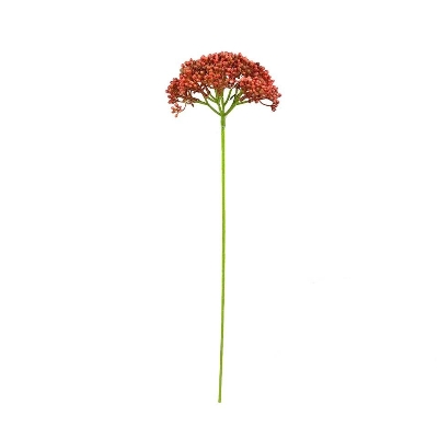 Red Achillea 55cm