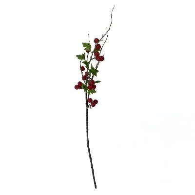Red Raspberry Branch 80cm