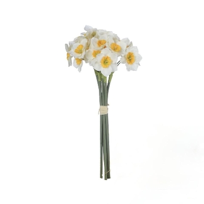 Cream Narcissus Bundle 40cm