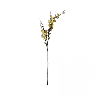 Yellow Plum Blossom 95cm