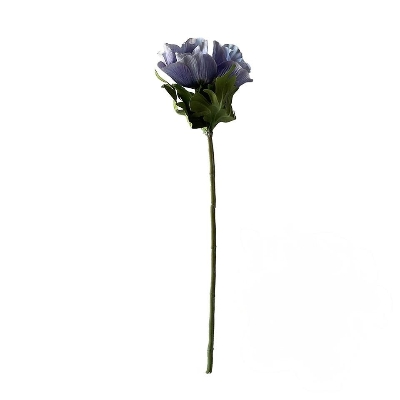 Dusky Lilac Anemone 45cm
