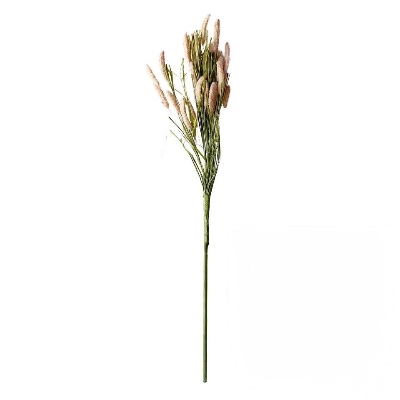 Pink Setaria Grass 70cm