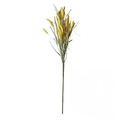 Yellow Setaria Grass 70cm
