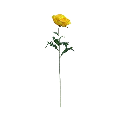 Yellow Poppy 71cm