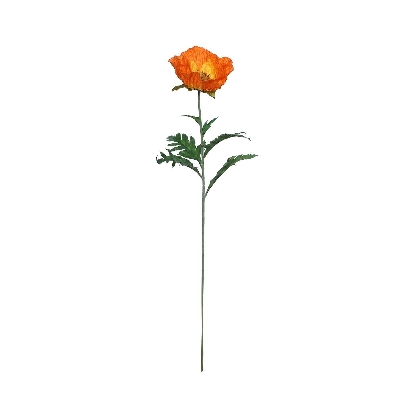 Orange Poppy 71cm