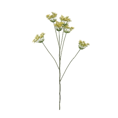 Yellow Fennel 98cm