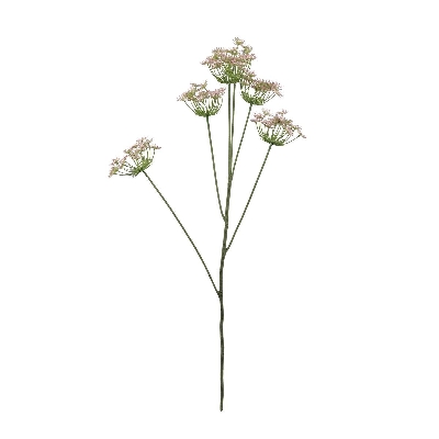 Pink Fennel 98cm