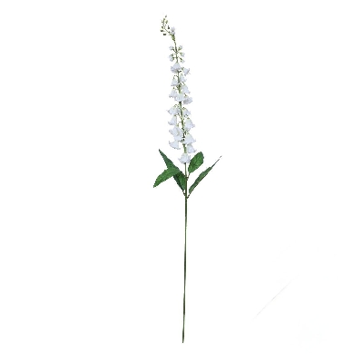 White Foxglove 98cm