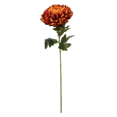 Dark Orange Bloom 70cm
