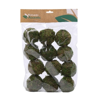 5cm Moss Ball x 12