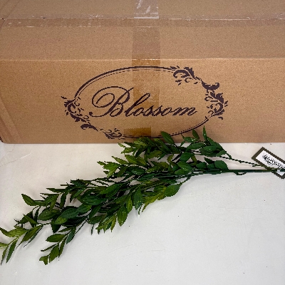 Green Ruscus Stem 35cm