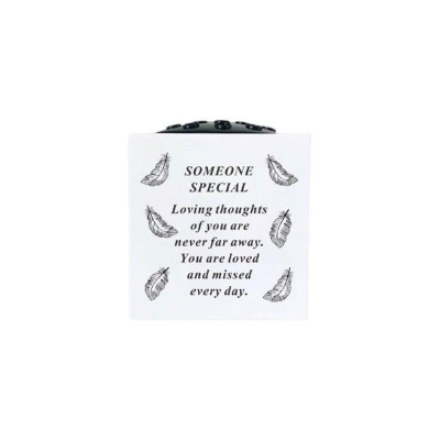 Someone Special Feather Pot 15cm