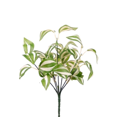 White & Green Tradescantia Bunch 32cm