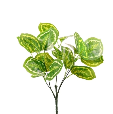 White & Green Calathea Medallion Bunch 33cm