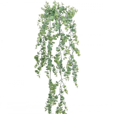 Light Green Trailing Gunni Eucalyptus 90cm