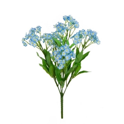 Forget Me Not Bush 27cm