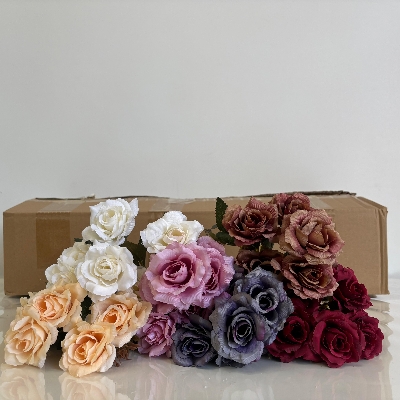 48 x Antique Rose Bush 30cm